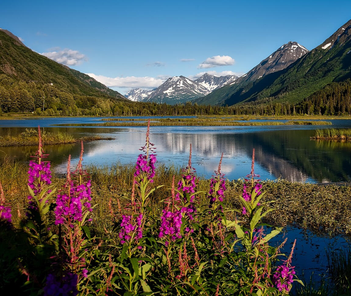 Chugach National Forest